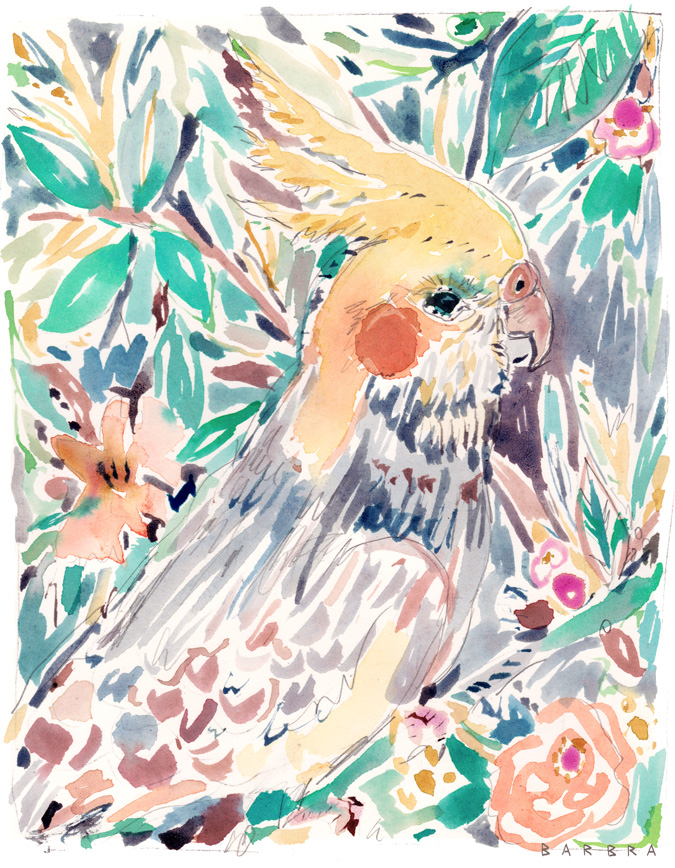 CHEEKY the Cockatiel