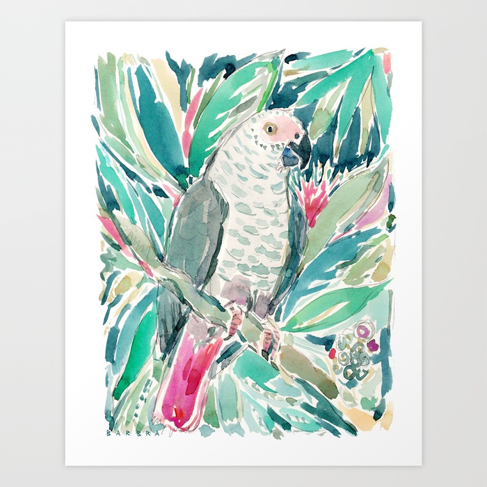 CONGO the African Grey Parrot Art Print