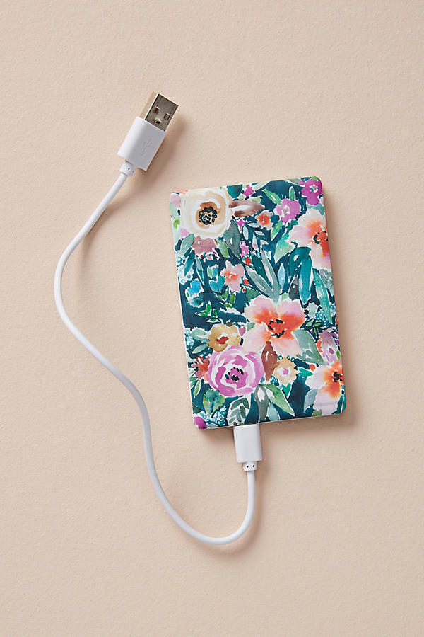 Barbarian x Anthro Power Bank