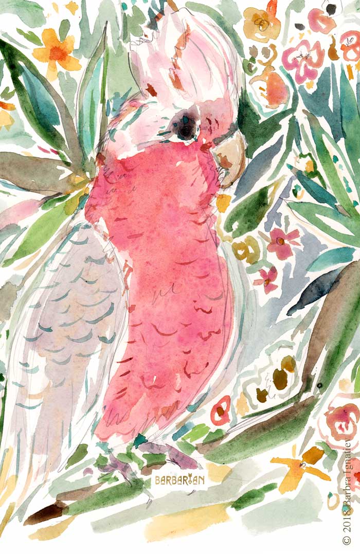 VINNY THE GALAH Cockatoo