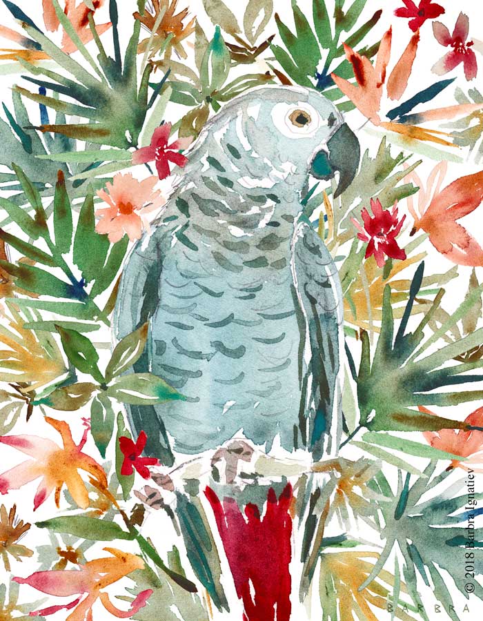 CARTOUCHE THE AFRICAN GREY