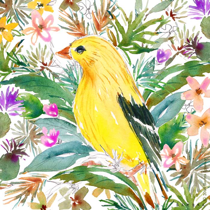 AURORA THE GOLDFINCH