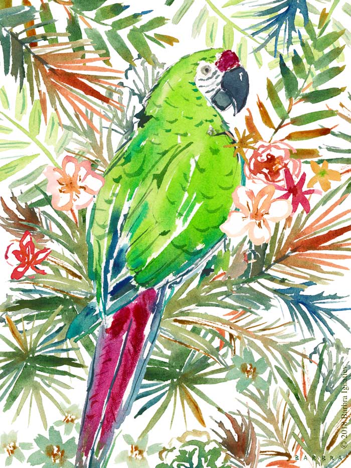 MILLIE THE MILITARY MACAW