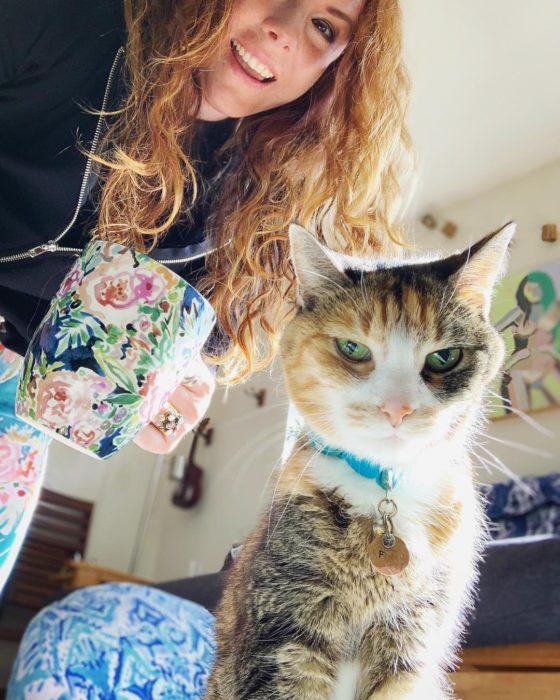 barbarian staples cat