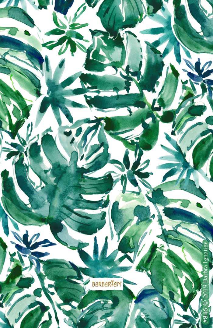 MO LEAVES LESS PROBS Tropical Monsteras