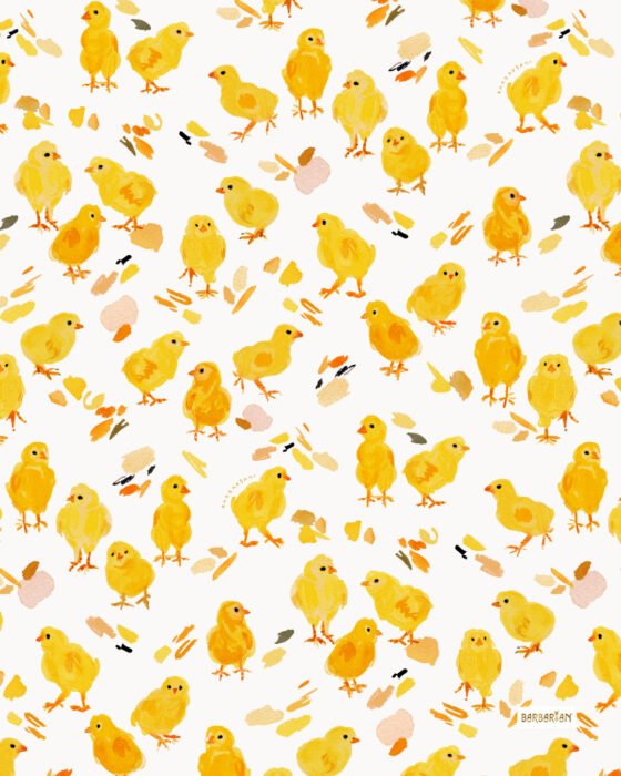 BABY CHICKEN SCRATCH – BARBARIAN by Barbra Ignatiev | Santa Cruz Artist ...